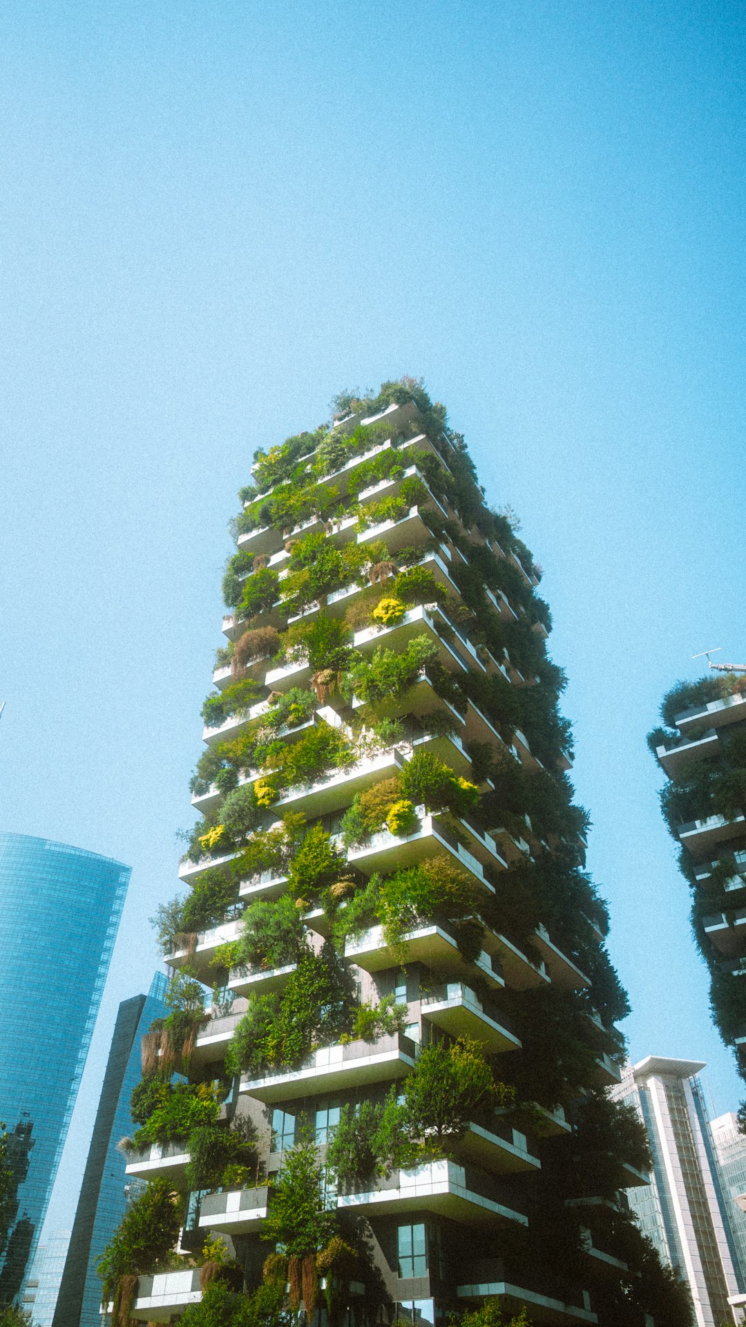 Sustainable Project