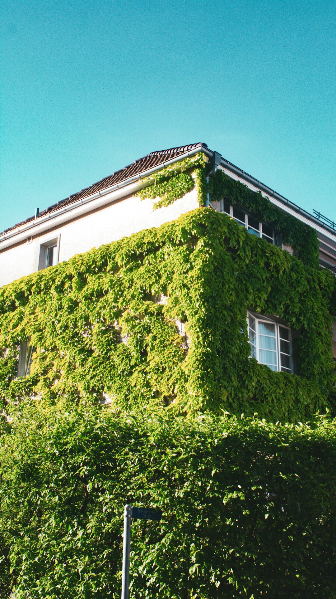Eco Community